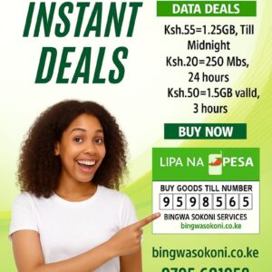 bingwa sokoni data bundles